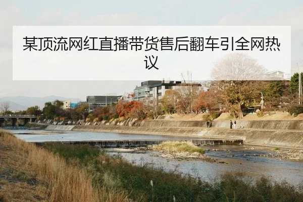 某顶流网红直播带货售后翻车引全网热议